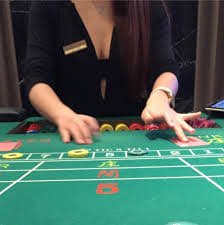 rajawd login Bali Vacation tournament leaderboard and referral bonus breakdown